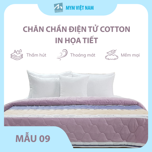 chăn cotton
