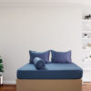 bộ drap tencel