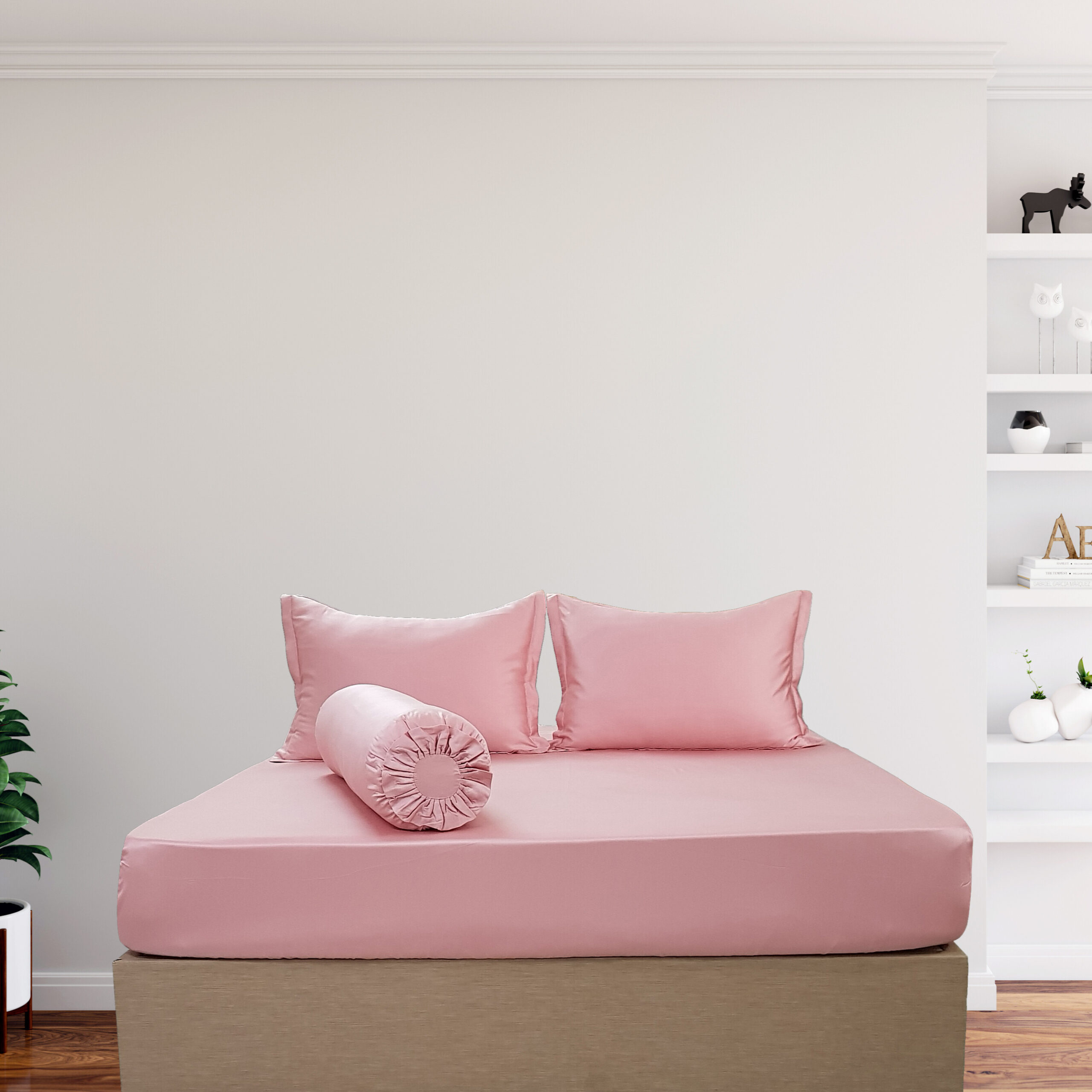 bộ drap